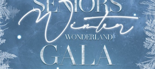 Cheers to Seniors Winter Wonderland GALA