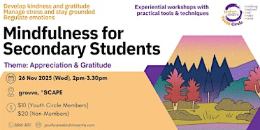 Mindfulness for Secondary School Students