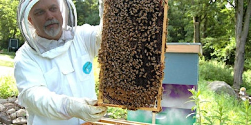 Beginner's Course in Beekeeping 2026