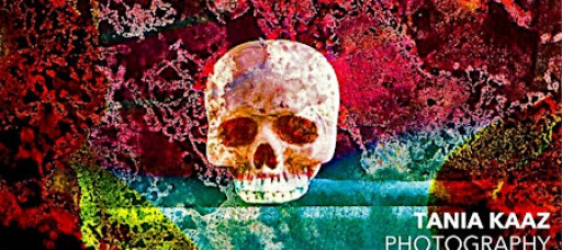 TANIA KAAZ Photography - Studio Grand Opening