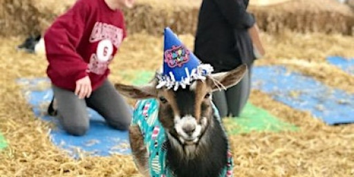 Goat Yoga Nashville- New Year's Day Class