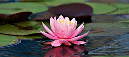 Women’s Spiritual Spa Day 2026