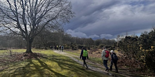 Season of mist and mellow Winchester hike and Christmas market - 18km