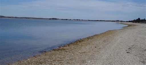 Passport through Parks: Orient Beach State Park, Family Program, $4 person