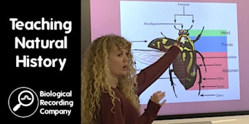 Teaching Natural History