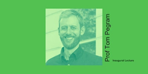 What Crisis? Rethinking Global Governance Through the Lens of Crisis