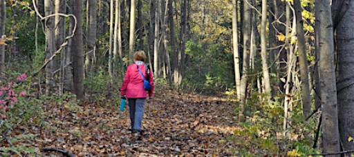 Wellness Walks at Welkinweir Arboretum