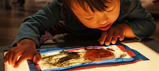 30th Annual Lowenfeld-Akeson Early Years Symposium