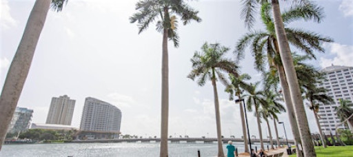 Taco 'Bout Tech with Northeastern University