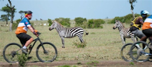 Cycle Challenges - Open Evening