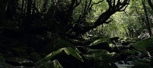 May Day - the new film by Mai Hua & Jerry Hyde