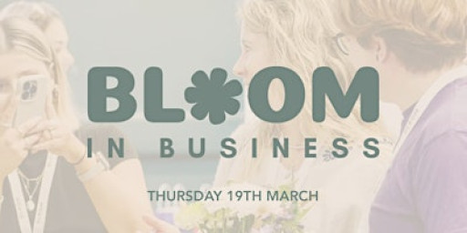Bloom in Business - Networking Event
