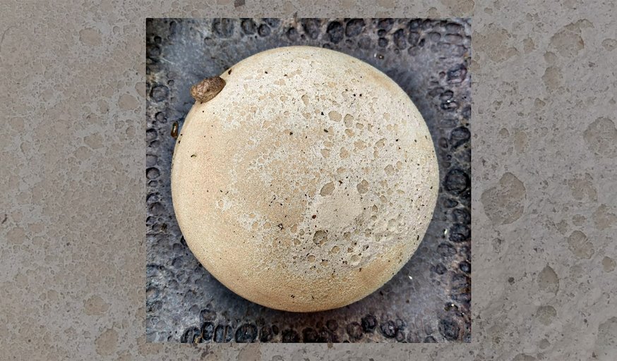 Holiday Gift Party at Oliva Gallery