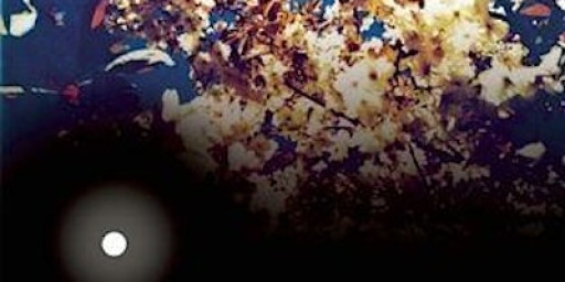 Life with Full Attention