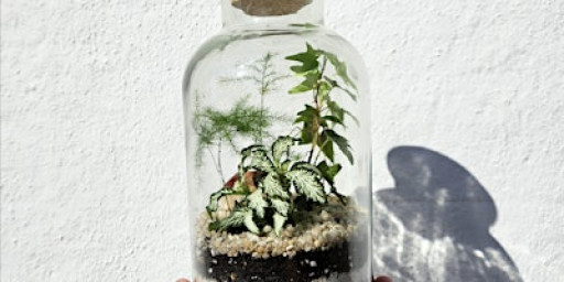 Kids Easter Holiday Terrarium Workshop!