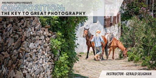 Composition, The Key to Great Photography: Three Sessions to Better Photos