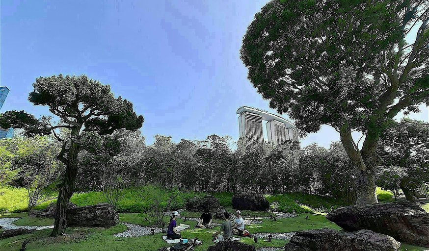 Reiki Forest Bathing