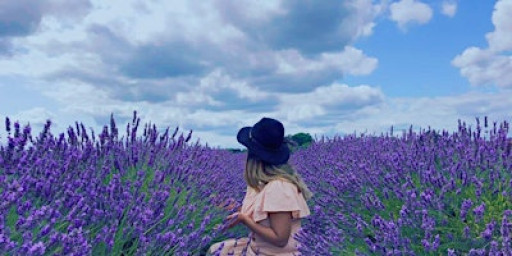 January Blues Workshop – Wreath Making & Coffee