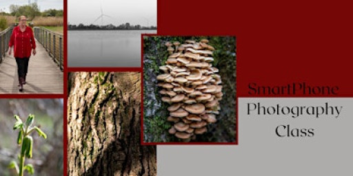 Smartphone Photography Class: Elevate Your Everyday Content (In Person)