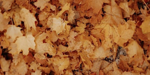 Creative Workshops: Exploring Life with Meningioma