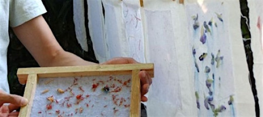 Handmade Holidays: Plant fiber paper making