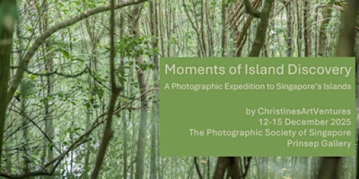 Moments of Island Discovery