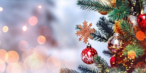 Plant-Based Schools Christmas Celebration!