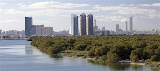 Abu Dhabi Mangrove Initiative Mangrove Tour + Manar Abu Dhabi Tour