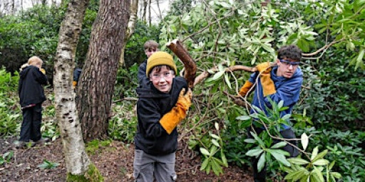 New Forest Junior Ranger Bespoke Programme - Home Educated Young People