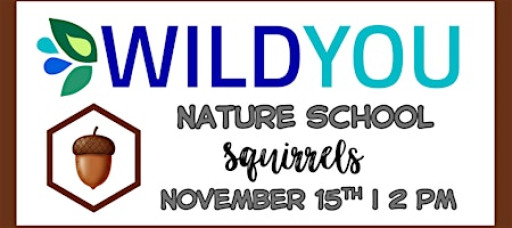 Nature School: Squirrels