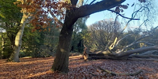 Autumn Spirituality Micro Retreat