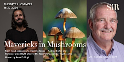 Mavericks In Mushrooms