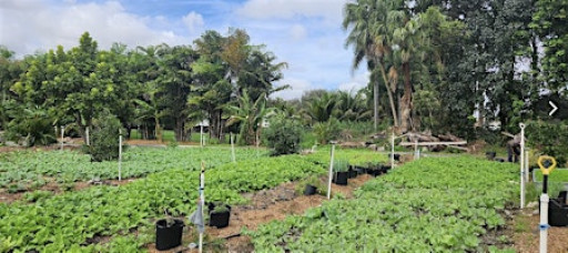 From Stress to Stillness: Half Day Wellness Retreat