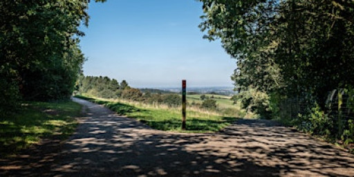 Four mile walk at Hartshill Hayes Country Park
