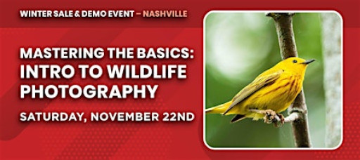Mastering the Basics: Intro to Wildlife Photography | Nashville, TN