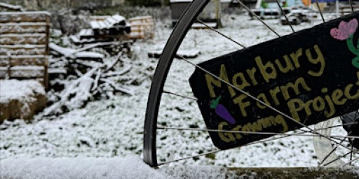 The big stick adventure