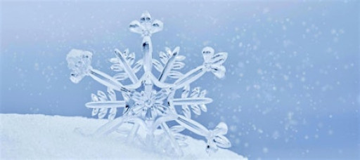 Sapphic Social: Girls in Winterland Edition