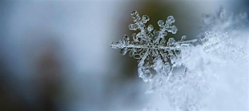 Holiday Workshop on Boundaries