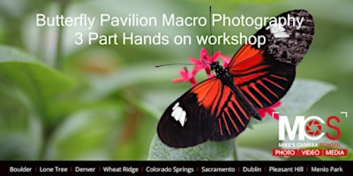 2026 Macro Photography at Butterfly Pavilion - 3 Part workshop