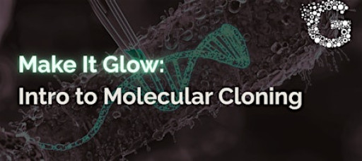 Make It Glow: Intro to Molecular Cloning