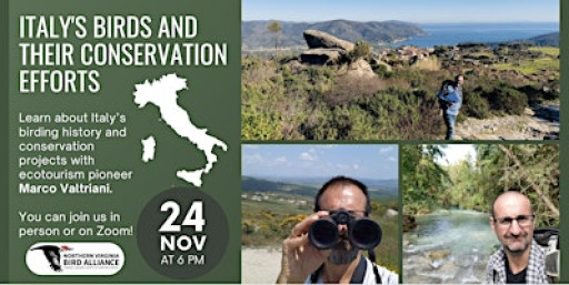 Italy's Birds and their Conservation Efforts with Marco Valtriani