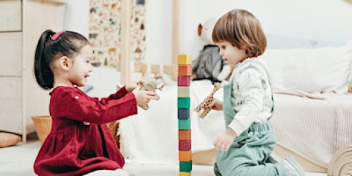Understanding Preschool Development