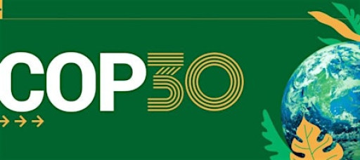 After COP 30 - What next?