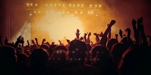 The Live Lounge | Live Music Showcase