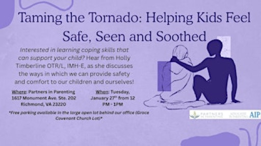 Taming the Tornado:  Helping Kids Feel Safe, Seen, and Soothed