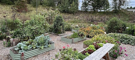 Learn to Grow: Planning a Vegetable Gardening