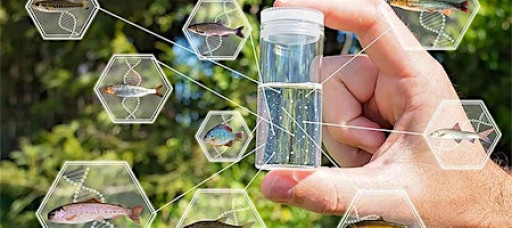 January 22, 2026: DNA Detectives with Dr. Andrea Schreier