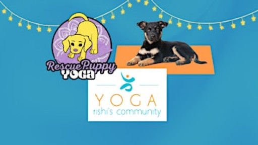 Rescue Puppy Yoga - Rishi’s Community Yoga