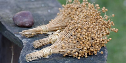 Film showing: Woman Grows Jeans