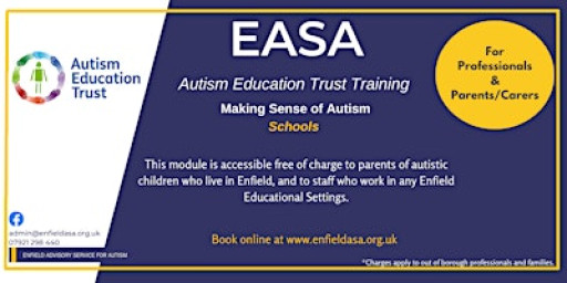 AET Schools Making Sense of Autism